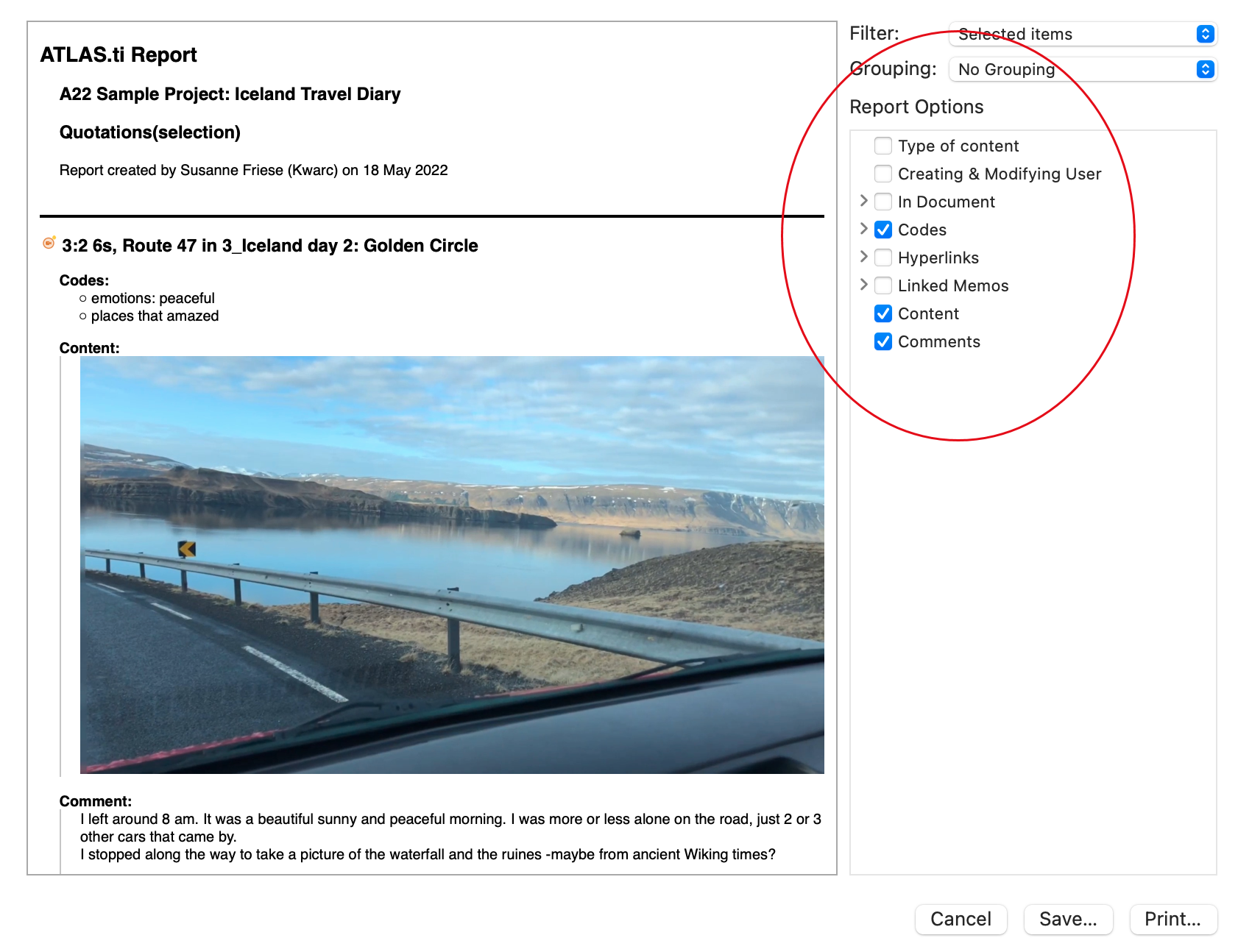 Select preview options for a report with multimedia quotations