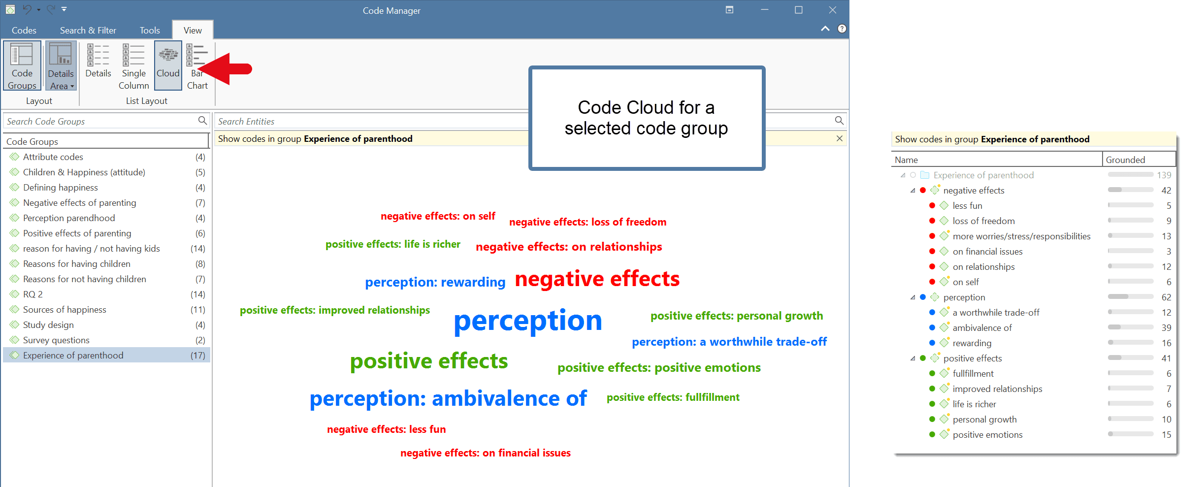 Code Manager Cloud View