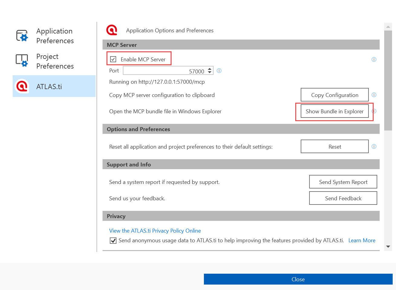 Enable MCP Server